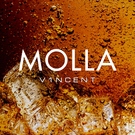 V1NCENT - MOLLA Скачать песню V1NCENT - MOLLA